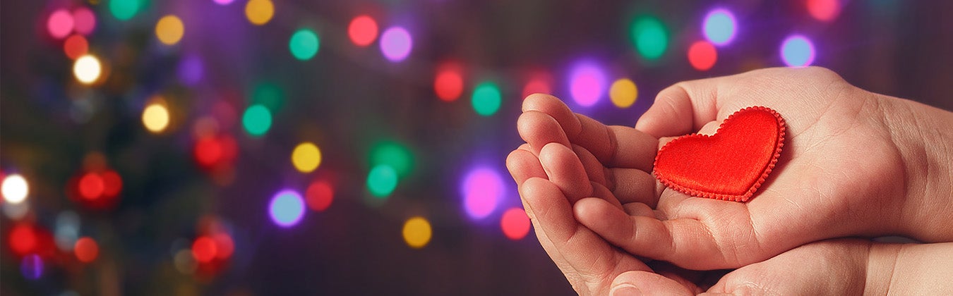 Charitable Giving Around the Holidays: How Individuals Can Maximize ...